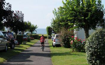 Vélo dans l'allée